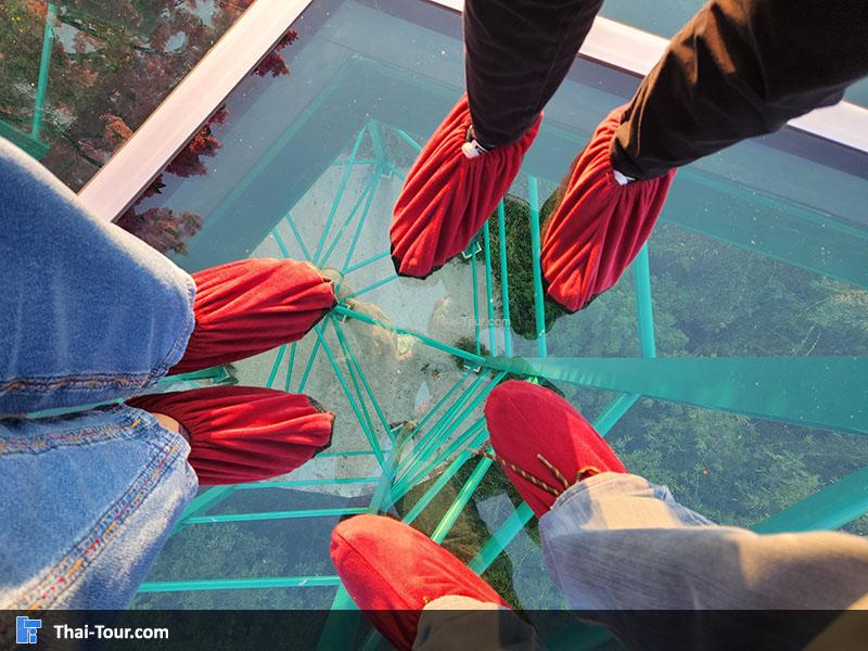 สกายวอล์คผาเงา 3 แผ่นดิน