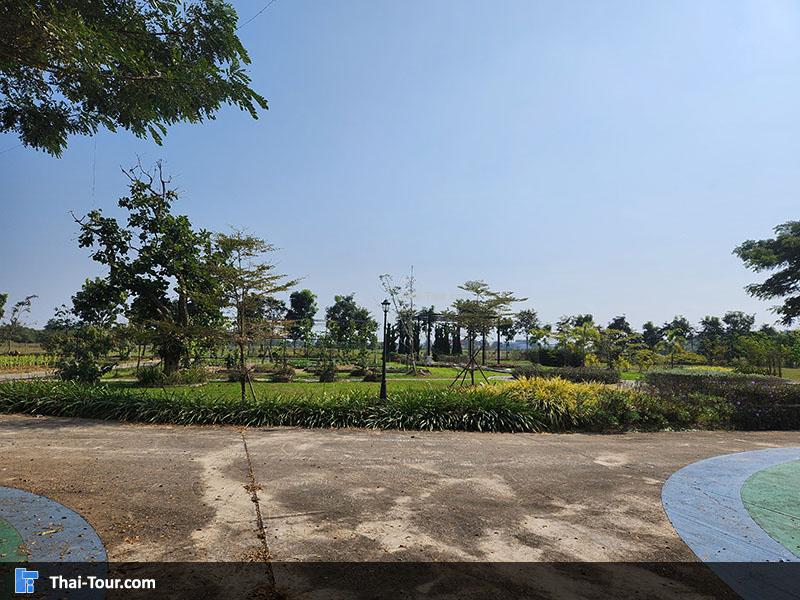 ไร่สันต้นปุย