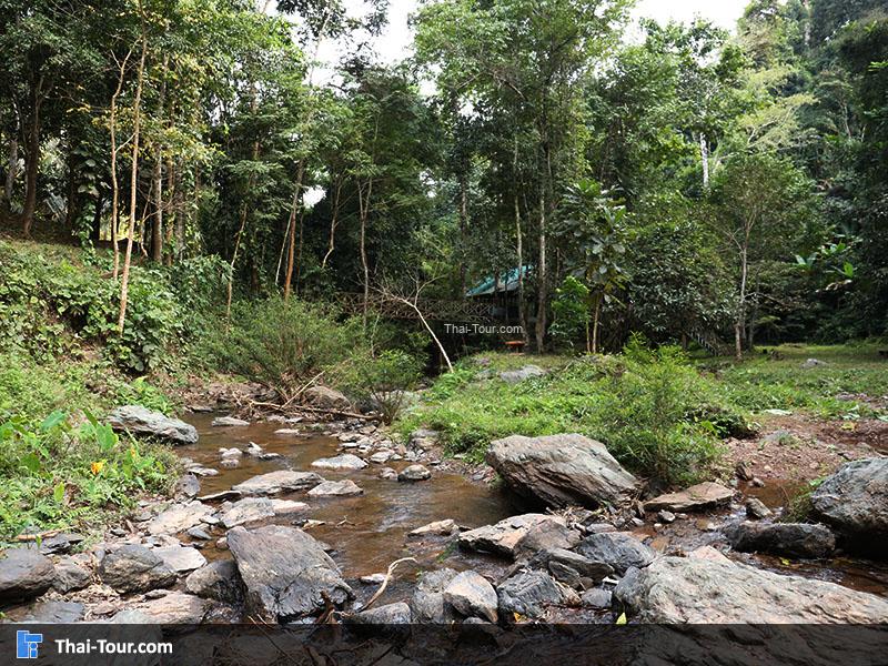 บรรยากาศ รอบๆ น้ำตกตาดม่าน