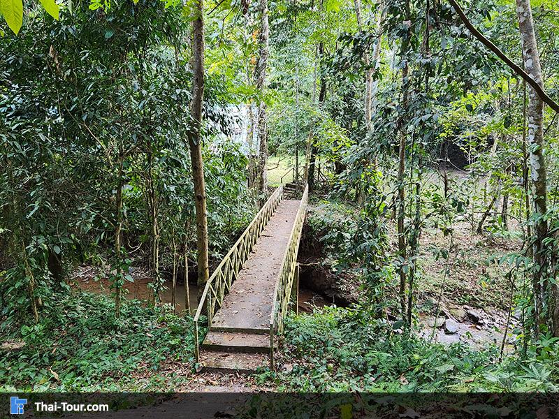 บรรยากาศ รอบๆ น้ำตกตาดม่าน