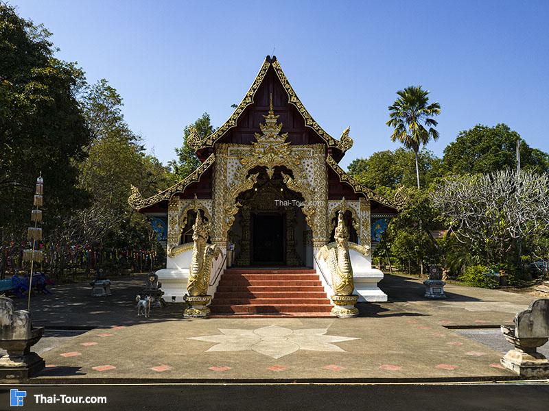 วัดพญาวัด