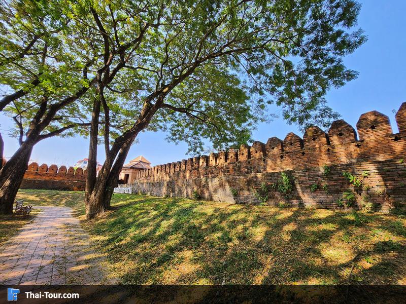 บรรยากาศ กำแพง ร่มรื่น 