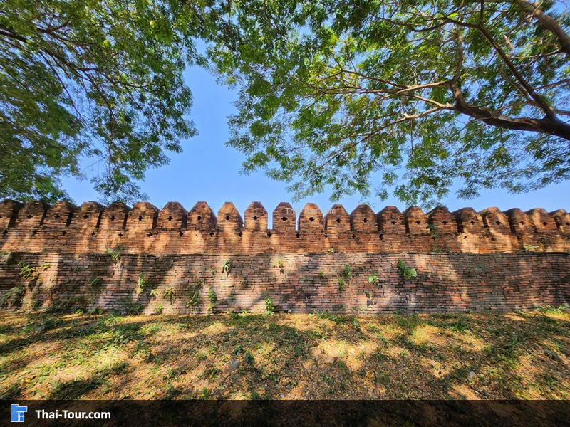 บรรยากาศ กำแพง ร่มรื่น 