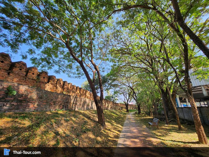 บรรยากาศ กำแพง ร่มรื่น 