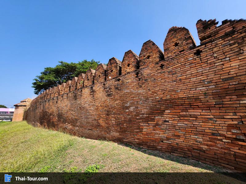 บรรยากาศ กำแพง ร่มรื่น 