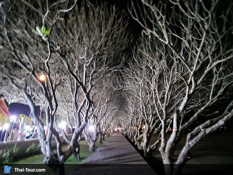 บรรยากาศ พิพิทธภัณฑสถานแห่งชาติน่าน ตอนกลางคืน