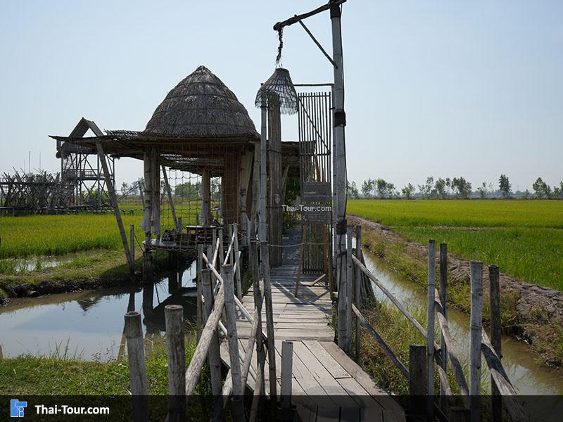 บรรยากาศ รักษ์นา อยุธยา