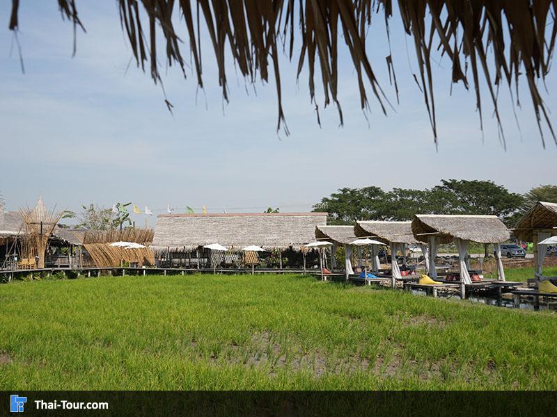 บรรยากาศ รักษ์นา อยุธยา