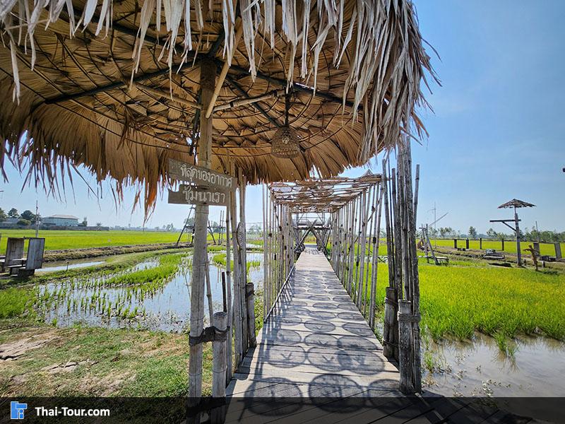 บรรยากาศ รักษ์นา อยุธยา