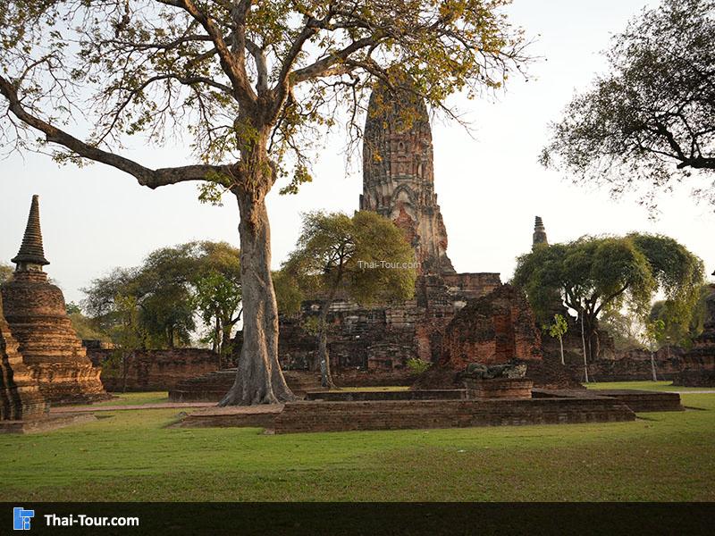 บรรยากาศ วัดพระรามและบึงพระราม