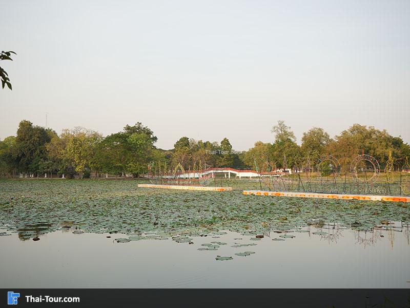 บรรยากาศ วัดพระรามและบึงพระราม
