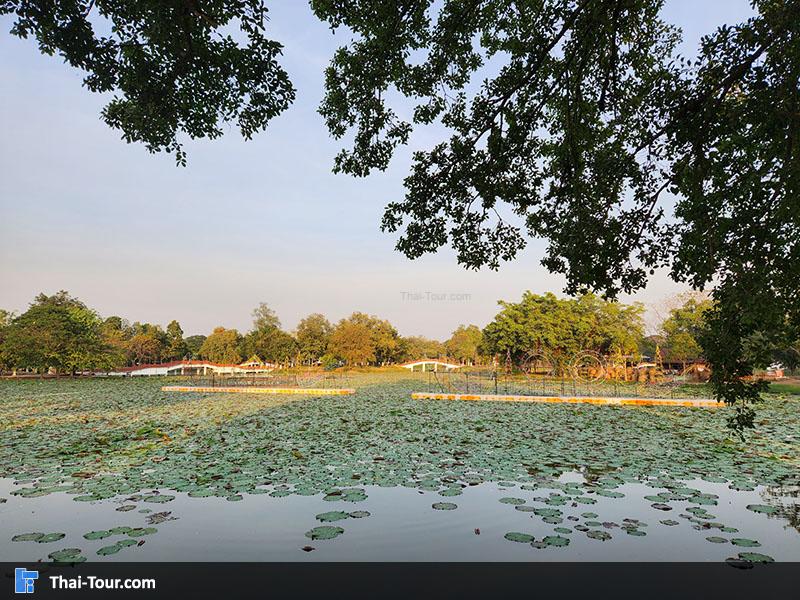 บรรยากาศ วัดพระรามและบึงพระราม