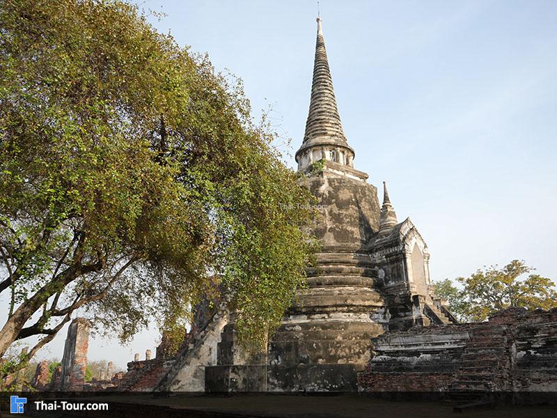 จุดถ่ายภาพ สวยๆของวัดพระศรีสรรเพชญ์