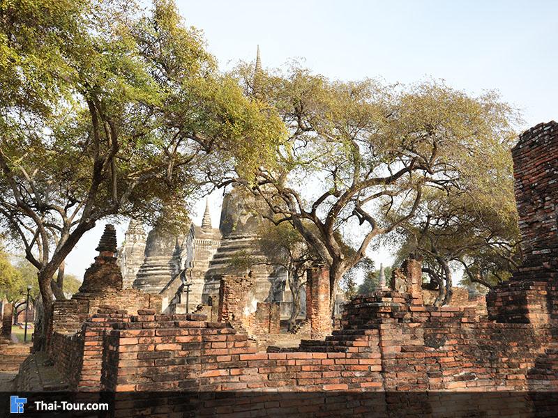 จุดถ่ายภาพ สวยๆของวัดพระศรีสรรเพชญ์