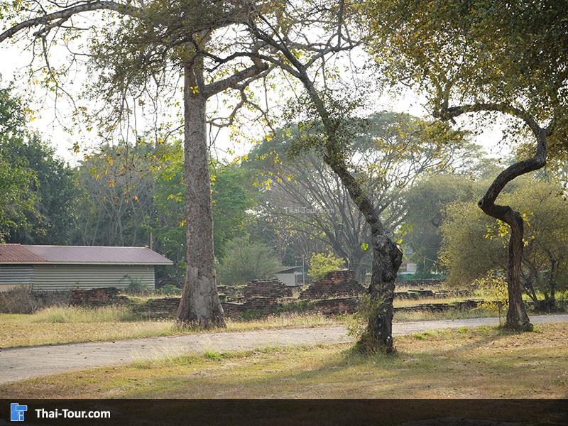 จุดถ่ายภาพ สวยๆของวัดพระศรีสรรเพชญ์