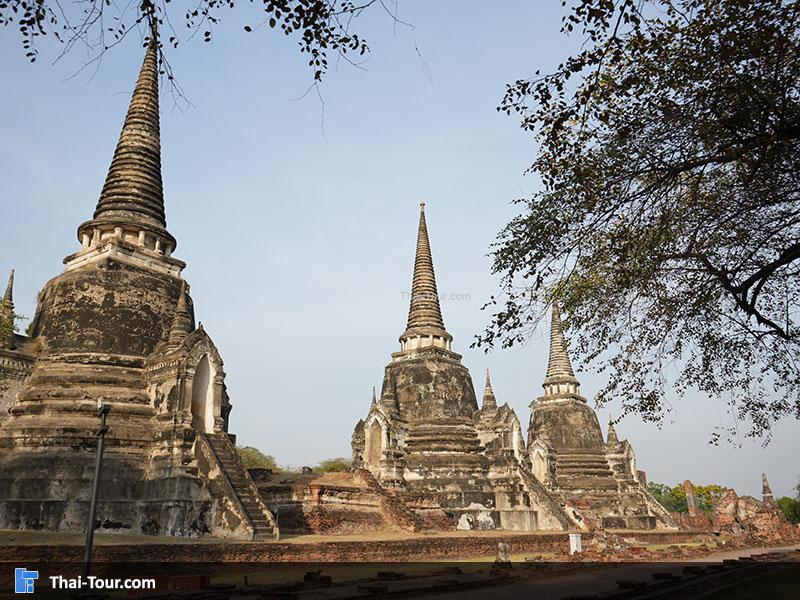 จุดถ่ายภาพ สวยๆของวัดพระศรีสรรเพชญ์