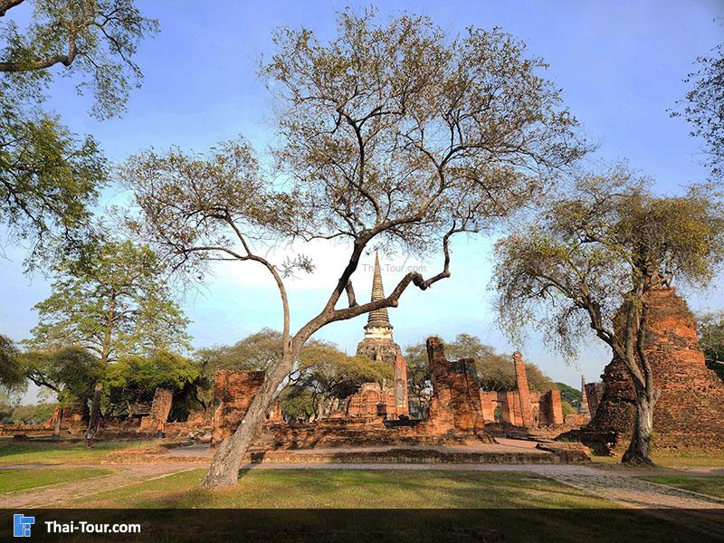 จุดถ่ายภาพ สวยๆของวัดพระศรีสรรเพชญ์
