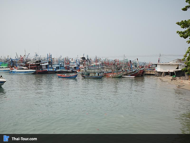 ท่าเรือนวลทิพย์ ท่าเรือไปเกาะเสม็ด