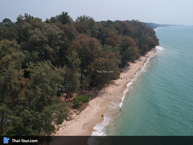 ภาพมุมสูง สวนสน (สวนรุกชาติเพ)