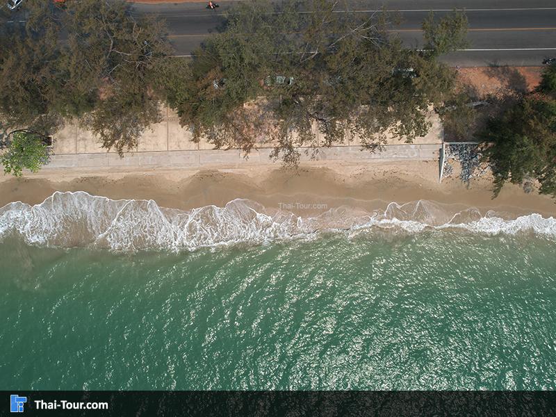 ภาพมุมสูง สวนสน (สวนรุกชาติเพ)