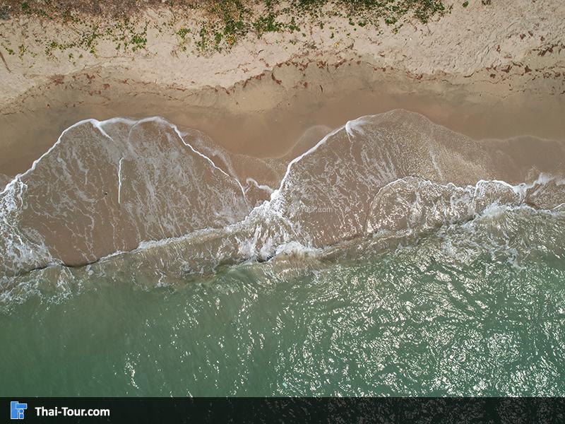 ภาพมุมสูง สวนสน (สวนรุกชาติเพ)