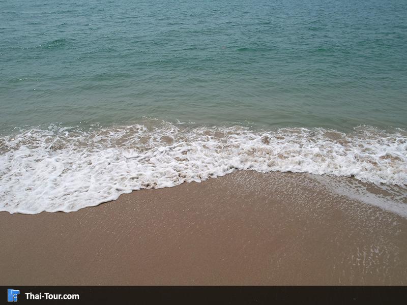 ภาพมุมสูง สวนสน (สวนรุกชาติเพ)