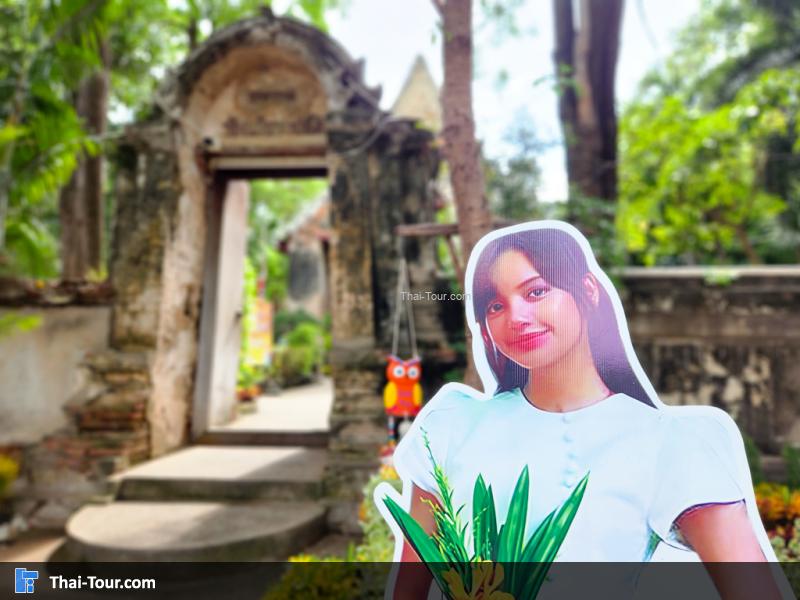 ตามรอยลิซ่า