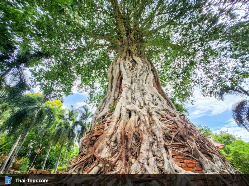 บริเวณรอบๆ วัดหน้าพระเมรุ