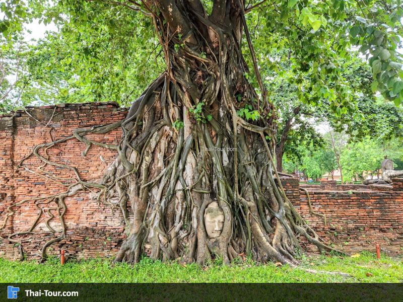 บรรยากาศวัดมหาธาตุ