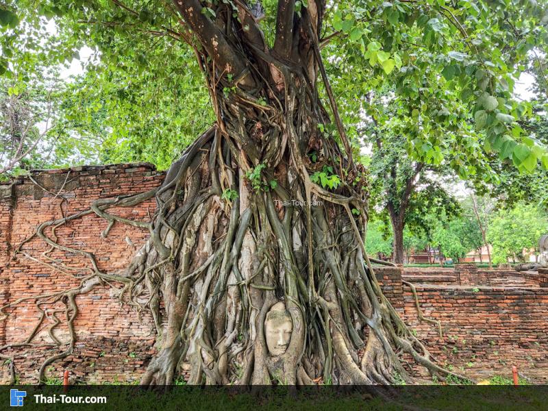 บรรยากาศวัดมหาธาตุ