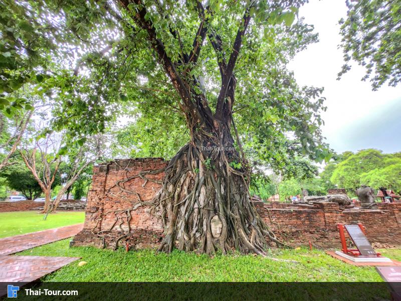 บรรยากาศวัดมหาธาตุ