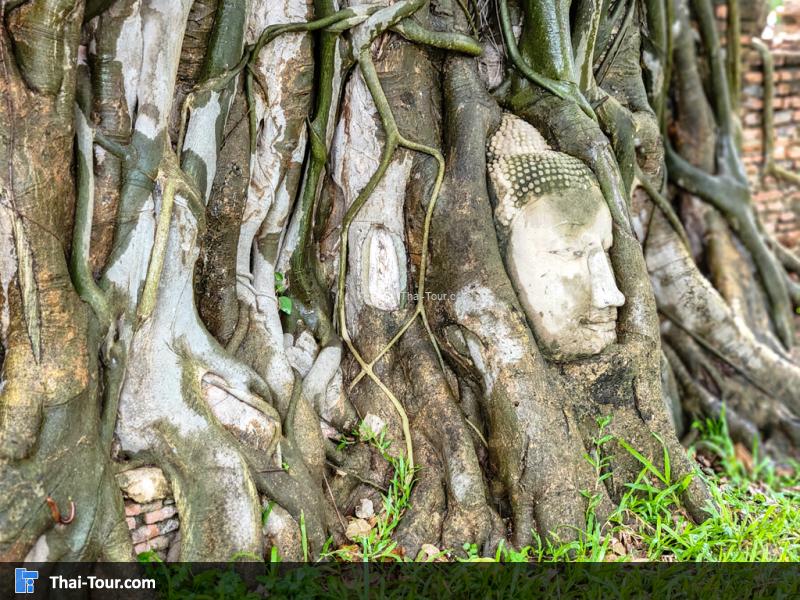 บรรยากาศวัดมหาธาตุ