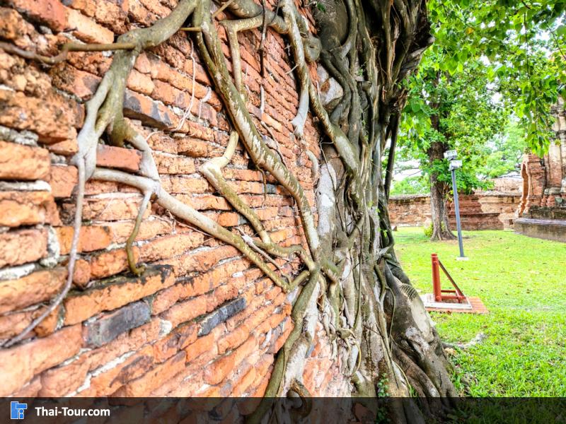 บรรยากาศวัดมหาธาตุ