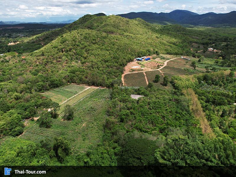 ภาพมุมสูง ตลาดโอ๊ะป่อย