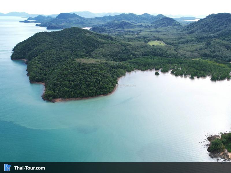 ภาพมุมสูง Mangrove beach