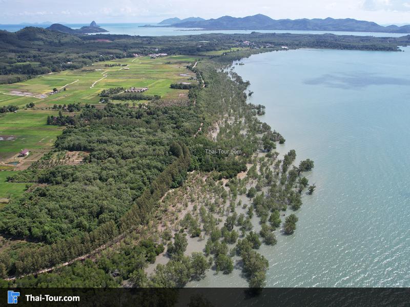 ภาพมุมสูง เกาะยาวน้อย