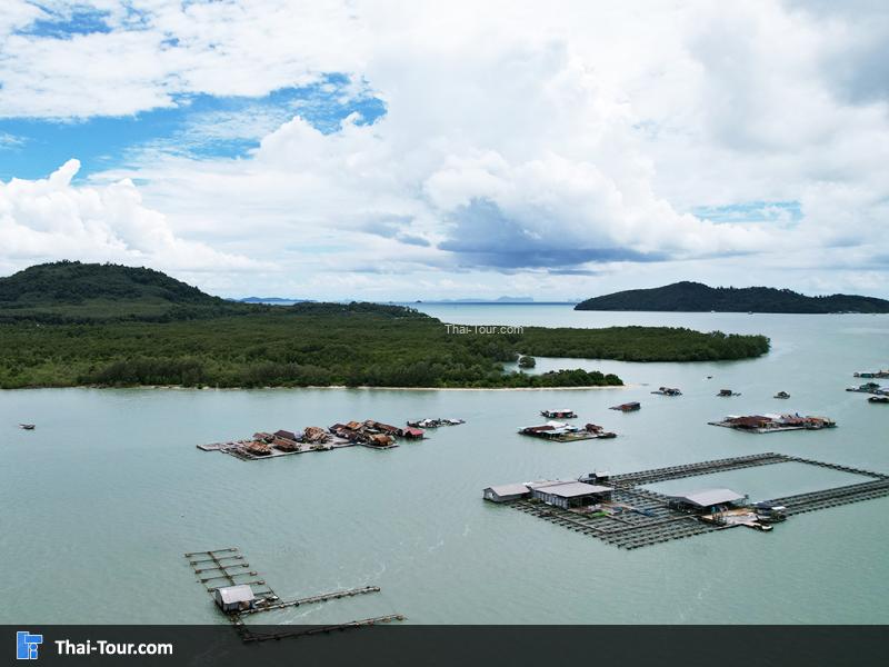 ภาพมุมสูง เกาะมะพร้าว