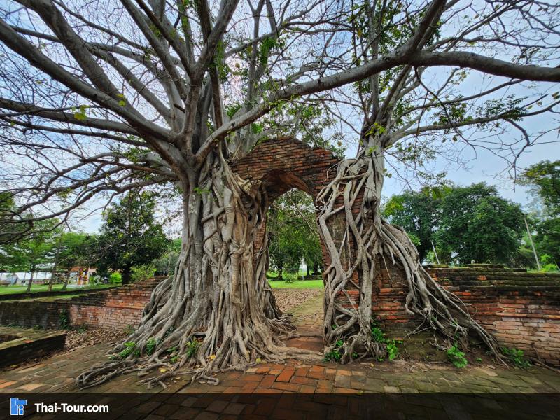 วัดพระงาม ประตูกาลเวลา