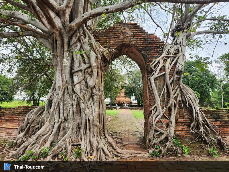 วัดพระงาม ประตูกาลเวลา