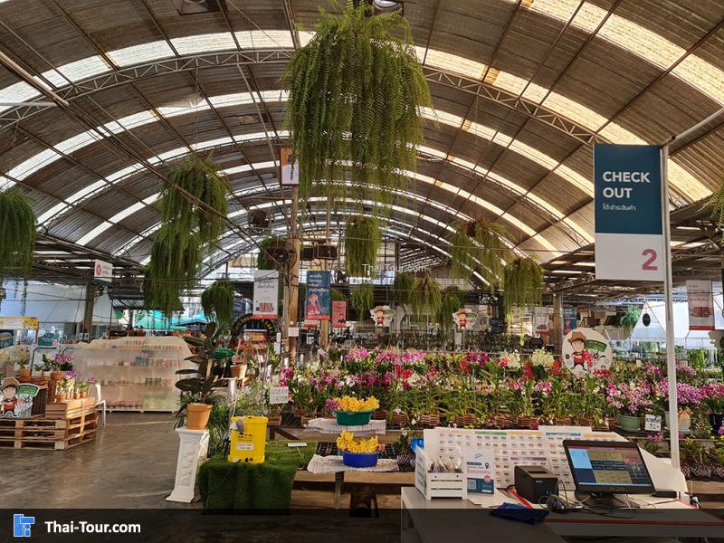 ภายใน แอร์ออร์คิดส์