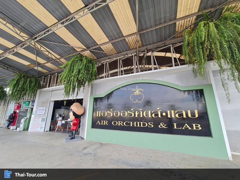 ภายใน แอร์ออร์คิดส์