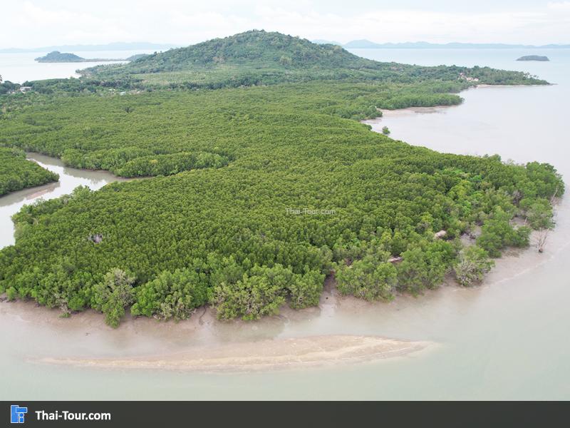 ภาพมุมสูง เกาะมะพร้าว