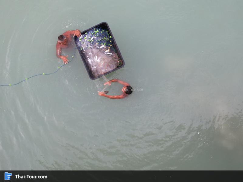 ภาพมุมสูง อ่าวฉลอง