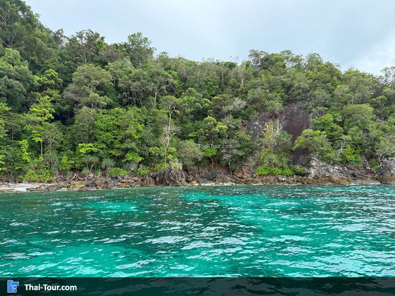 เกาะยาง