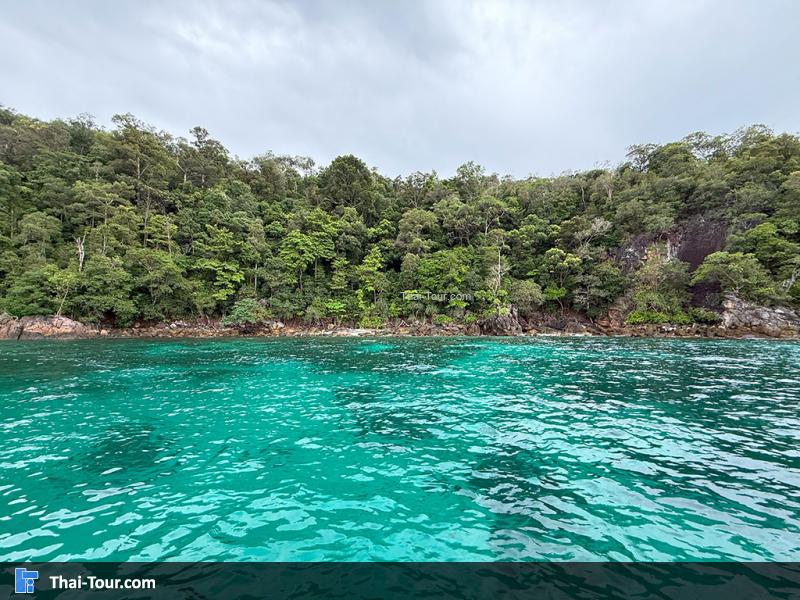 เกาะยาง