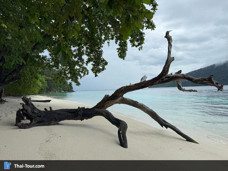 เกาะราวี