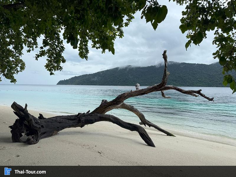 เกาะราวี