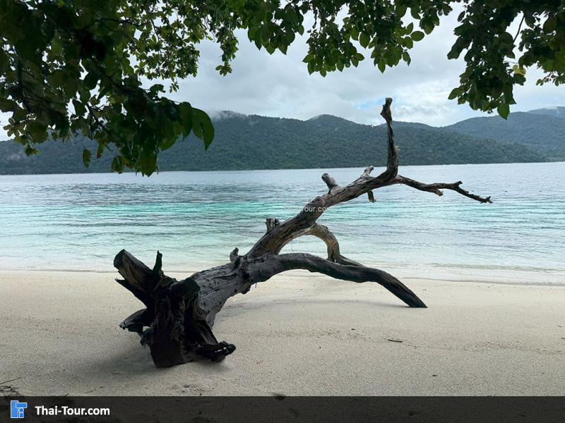 เกาะราวี