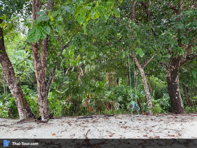 เกาะราวี