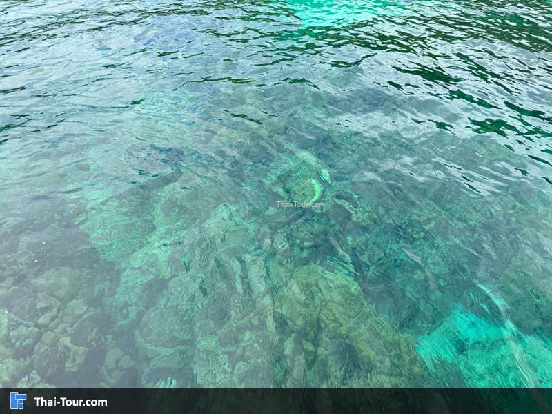 จุดดำน้ำ เกาะอาดัง